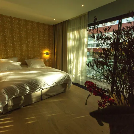 إيدين لودج 4*