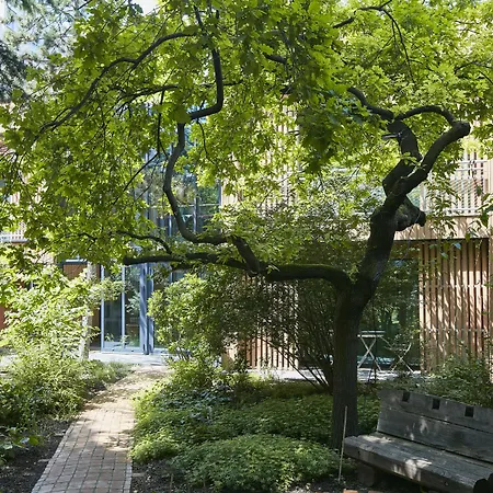 إيدين لودج باريس